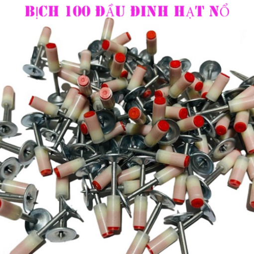 bich-100-hat-dinh-no-dung-cho-sunggs-ban-dinh