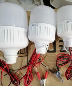 bong-den-buld-kep-binh-12v-20w