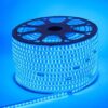 day-den-hac-mau-xanh-duong-10mm-2-hang-led-cuon-100m
