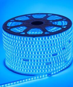 day-den-hac-mau-xanh-duong-10mm-2-hang-led-cuon-100m