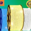den-led-hac-cuon-100m-xanh-duong-vang-trang