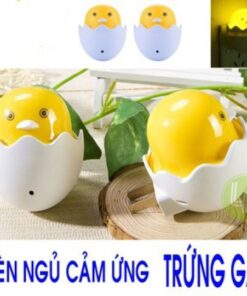 den-ngu-qua-trung-tu-dong-sang-khi-troi-toi