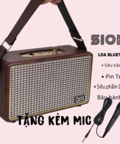 loa-karaoke-bluetooth-sk-2025