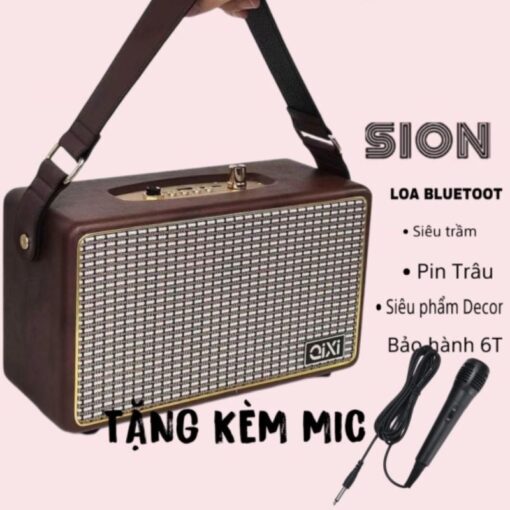 loa-karaoke-bluetooth-sk-2025