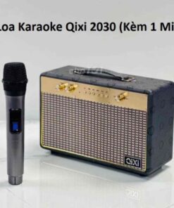 loa-karaoke-qixi-2030-kem-1-mic