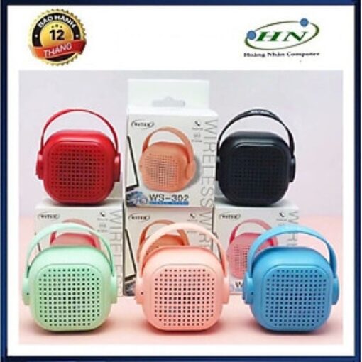 loa-bluetooth-ws-302