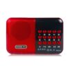 loa-cam-the-usb-nghe-phap-hyundai-h866a