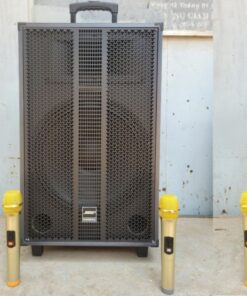 loa-keo-bose-t40-4-tac-kem-2-mic
