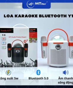 loa-karaoke-bluetooth-y11