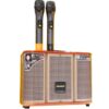 loa-keo-temeisheng-gd06-39