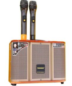 loa-keo-temeisheng-gd06-39
