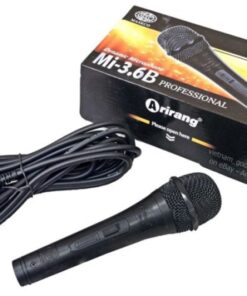 mic-day-airang