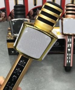 mic-karaoke-sd-17