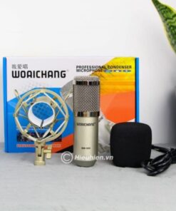 mic-thu-am-bm-900
