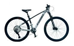 XE ĐẠP ĐỊA HÌNH FORNIX M10