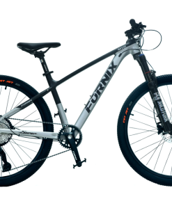 XE ĐẠP ĐỊA HÌNH FORNIX M10