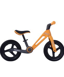 XE ĐẠP THĂNG BẰNG FORNIX BB12Z