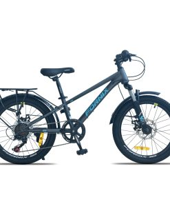 XE ĐẠP TRẺ EM FORNIX HS20