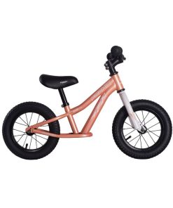 XE THĂNG BẰNG FORNIX BB12